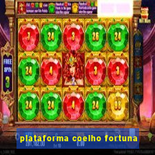 plataforma coelho fortuna