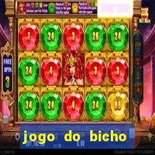 jogo do bicho banca ouro verde