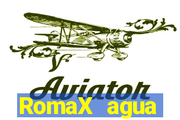 RomaX agua sanitaria fispq agua sanitaria romax