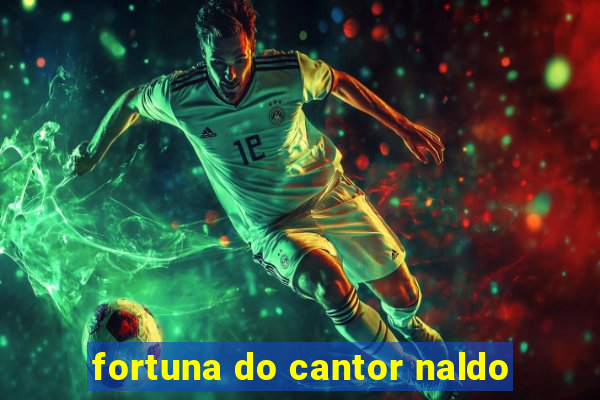 fortuna do cantor naldo