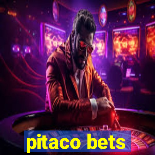 pitaco bets