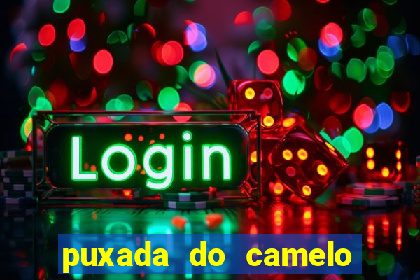 puxada do camelo jogo do bicho