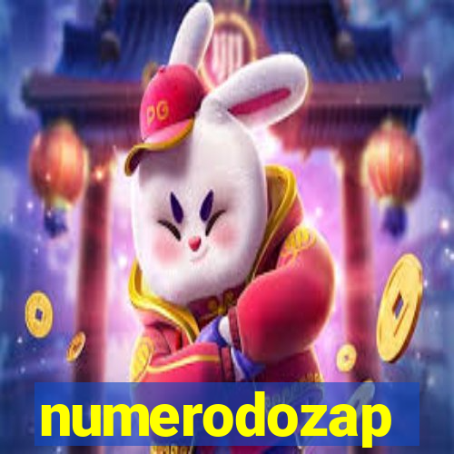 numerodozap