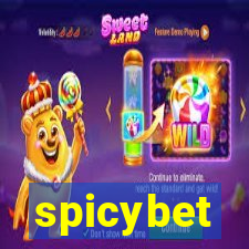 spicybet