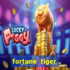 fortune tiger plataforma nova