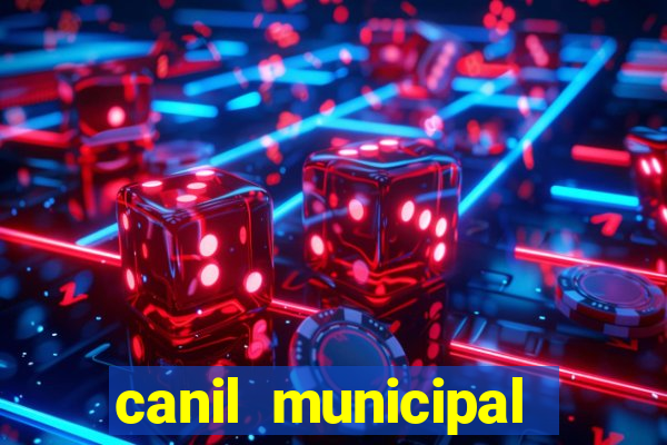 canil municipal porto alegre