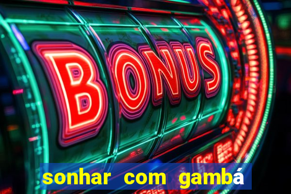 sonhar com gambá jogo do bicho