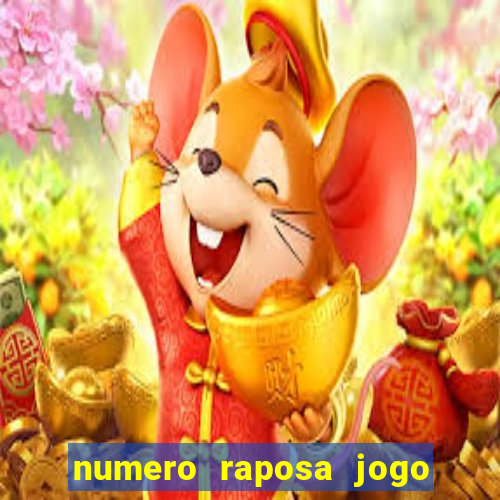 numero raposa jogo do bicho